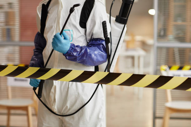 Professional Sewage Cleanup technician working in Fredericksburg, TX