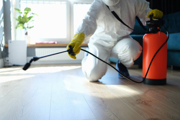 Reliable Sewage Cleanup contractor in Fredericksburg, TX by Dulley Family Biohazard Services
